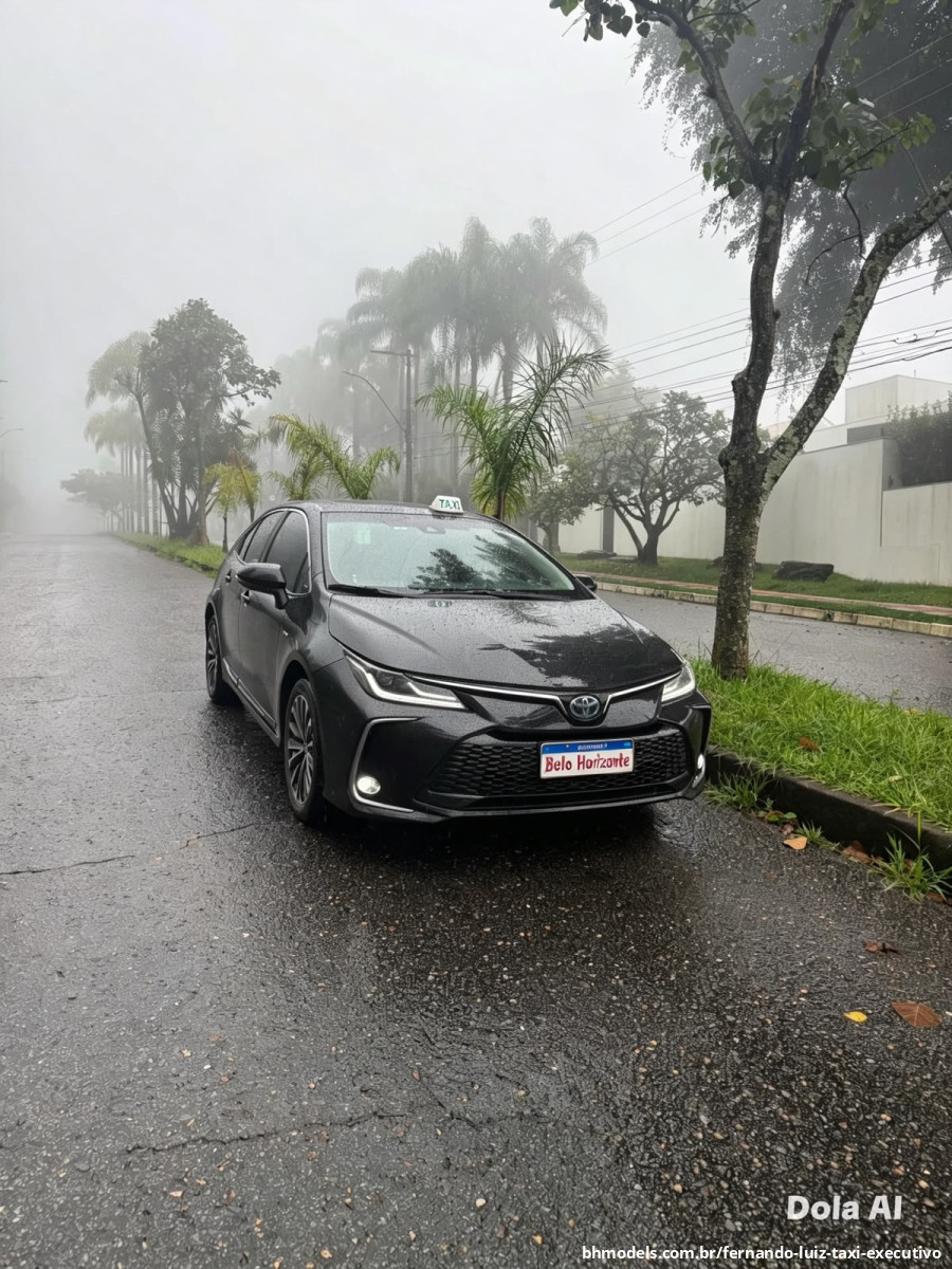 Fotos de Fernando Luiz Táxi Executivo