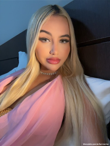 Publicação de Lari Terrier